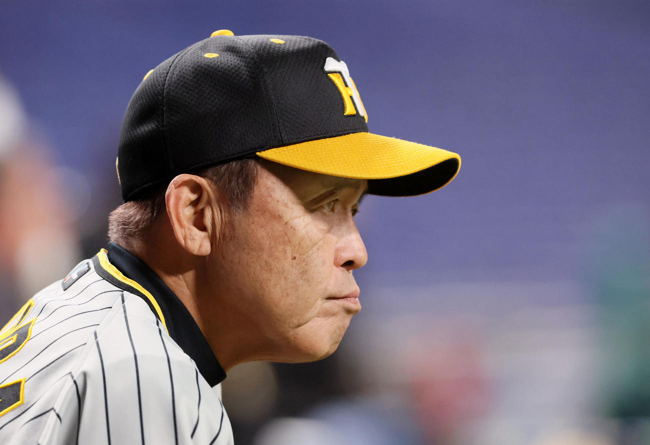 ナインの練習を見る岡田監督（撮影・加藤哉）