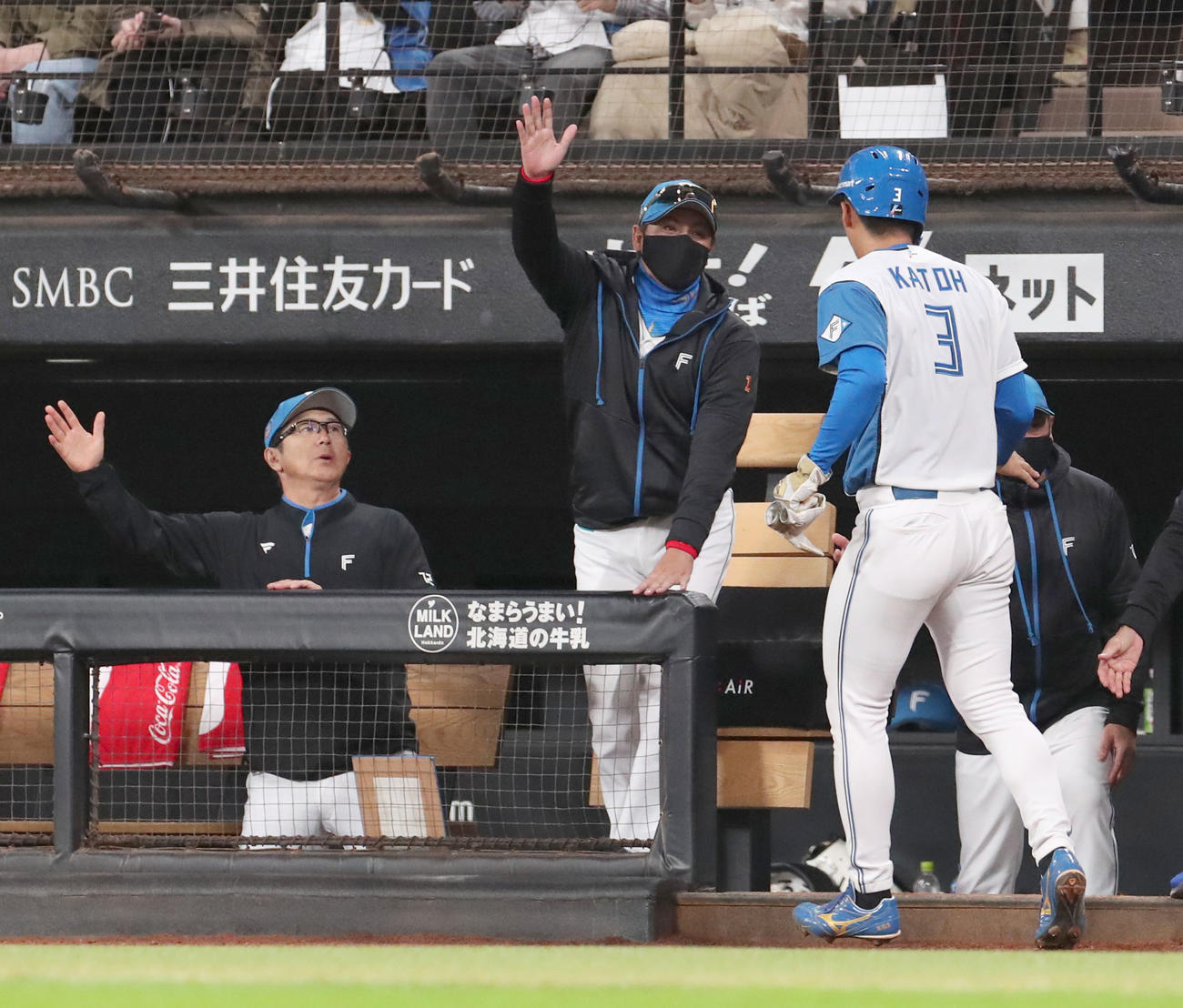 日本ハム対広島　7回裏日本ハム1死満塁、新庄監督（中央）は押し出し死球で生還した加藤豪を出迎える（撮影・佐藤翔太）
