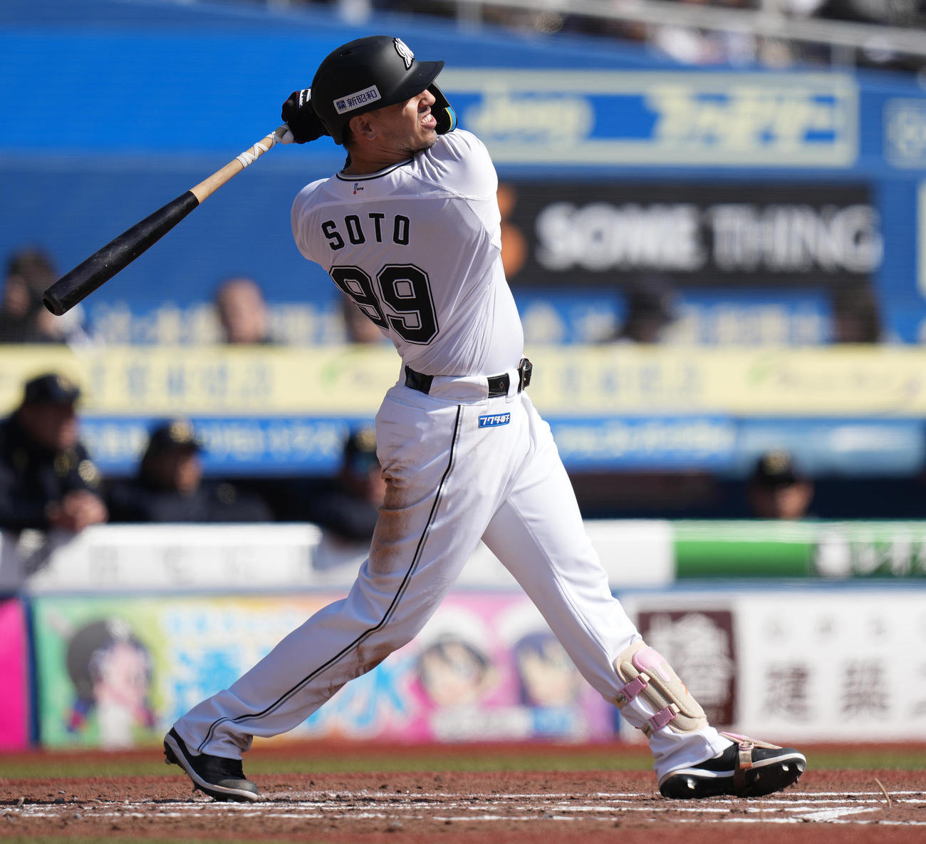 ロッテ対オリックス　2回裏ロッテ2死、右越えソロ本塁打を放つソト（撮影・鈴木みどり）