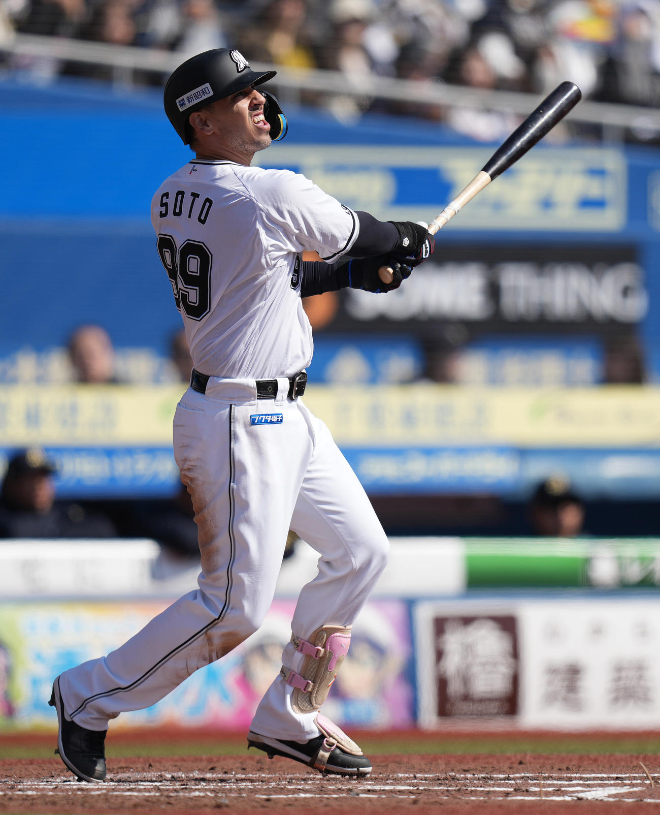 ロッテ対オリックス　2回裏ロッテ2死、右越えソロ本塁打を放つソト（撮影・鈴木みどり）