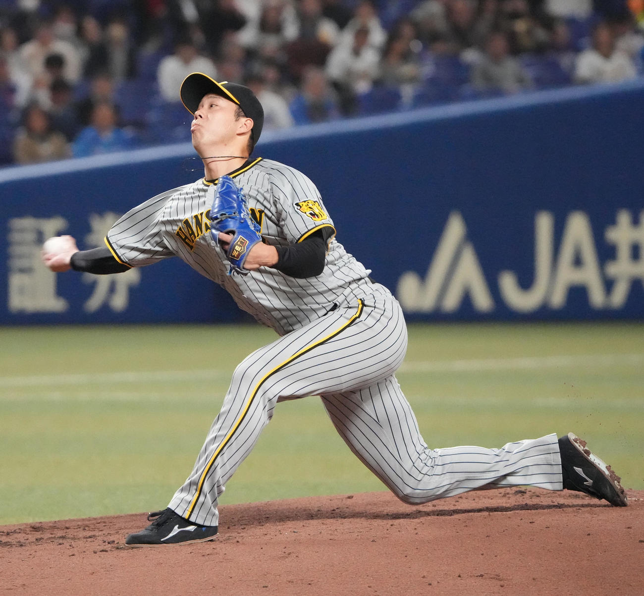 中日対阪神　2回裏、力投する阪神先発の青柳（撮影・森本幸一）