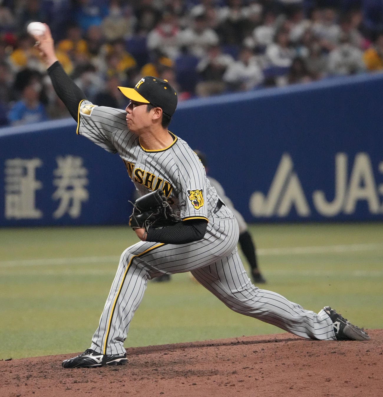 中日対阪神　7回裏、阪神3番手で登板する石黒（撮影・森本幸一）