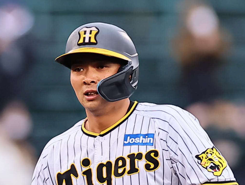 阪神井上広大（2024年3月6日撮影）