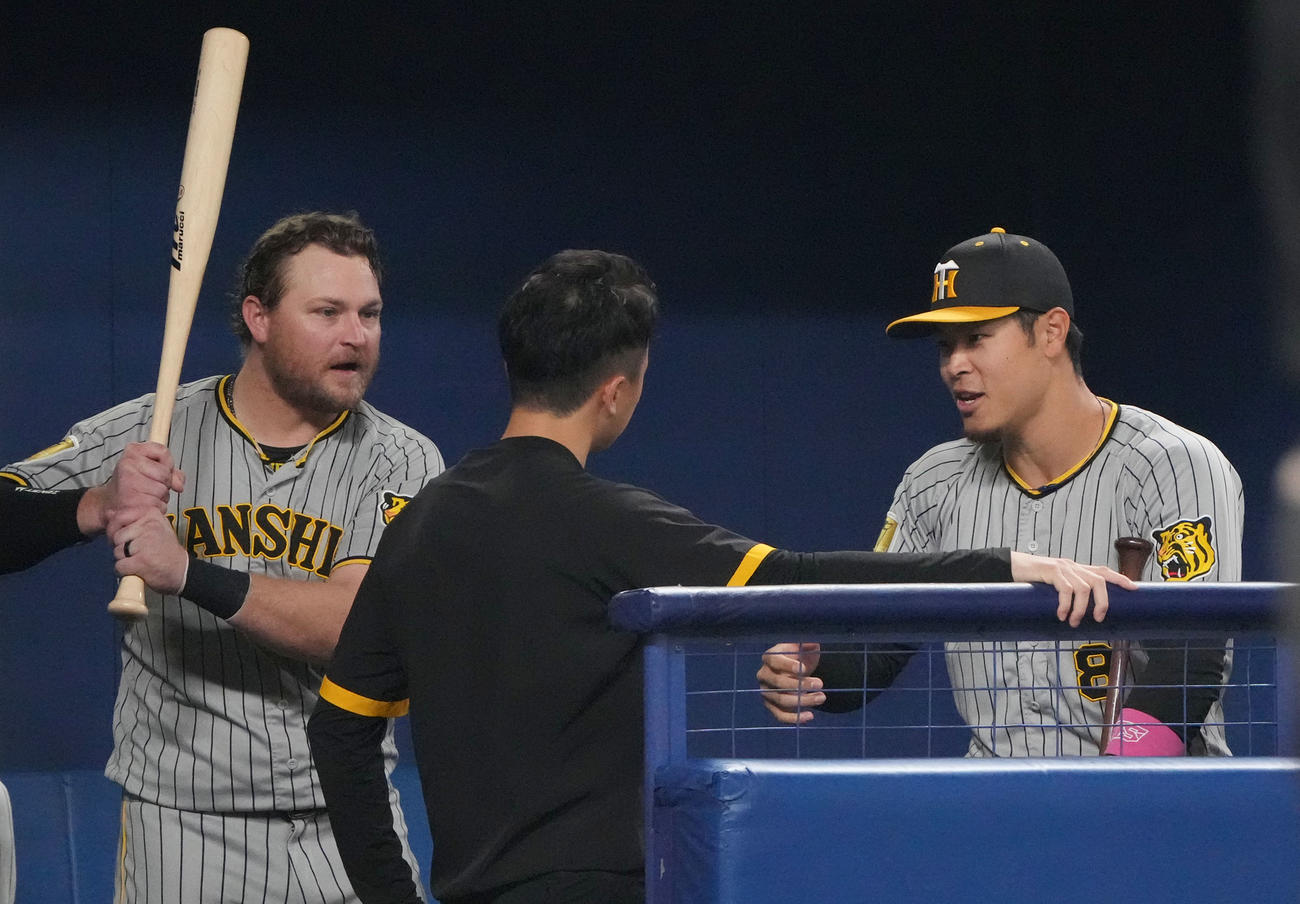 中日対阪神　6回裏、ベンチでノイジーにアドバイスを聞く佐藤輝（右）（撮影・森本幸一）