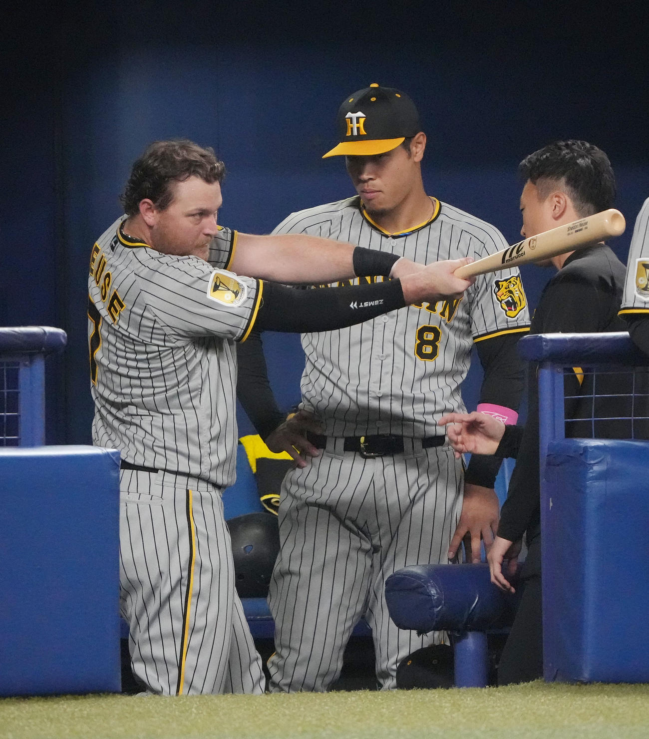 中日対阪神　6回裏、ベンチでノイジーにアドバイスを聞く佐藤輝（中央）（撮影・森本幸一）