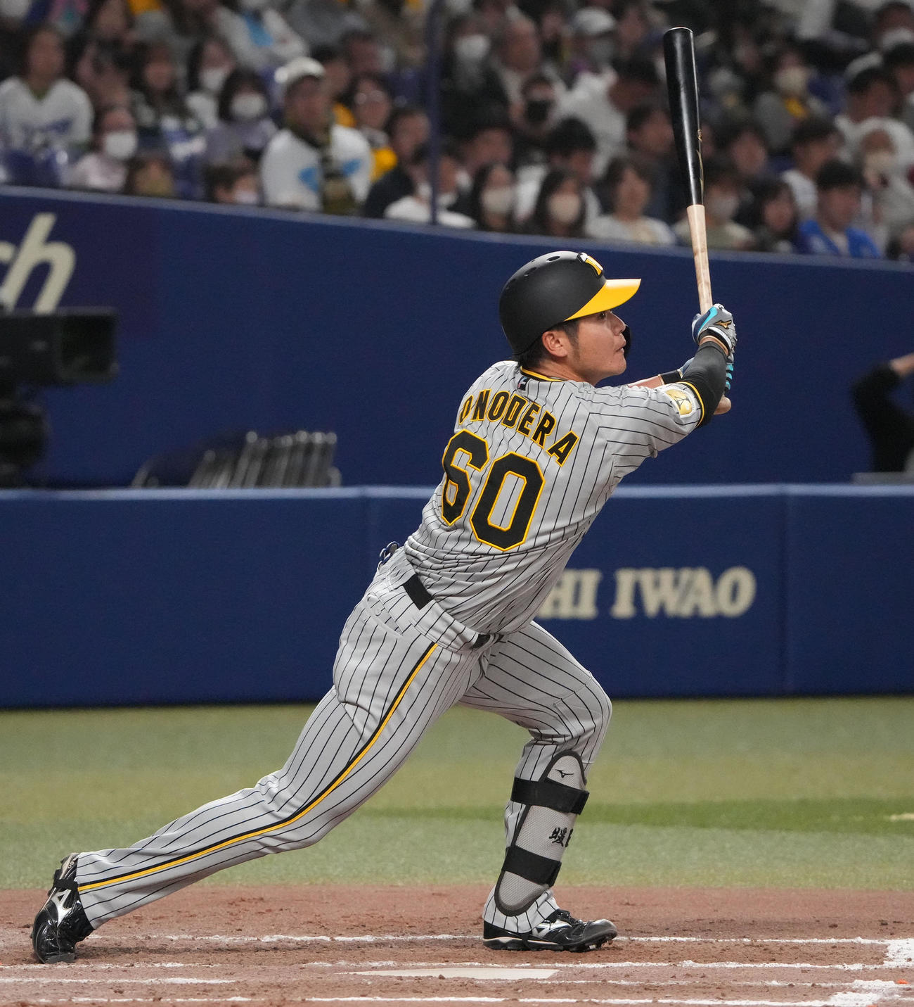 中日対阪神　8回表阪神1死一、二塁、右前適時打を放つ小野寺（撮影・森本幸一）