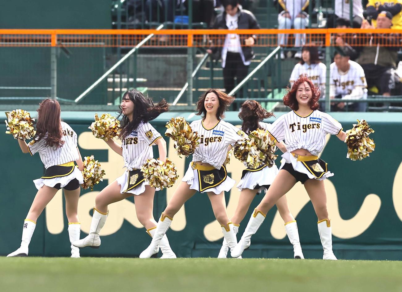タイガースガール（2024年3月9日撮影）