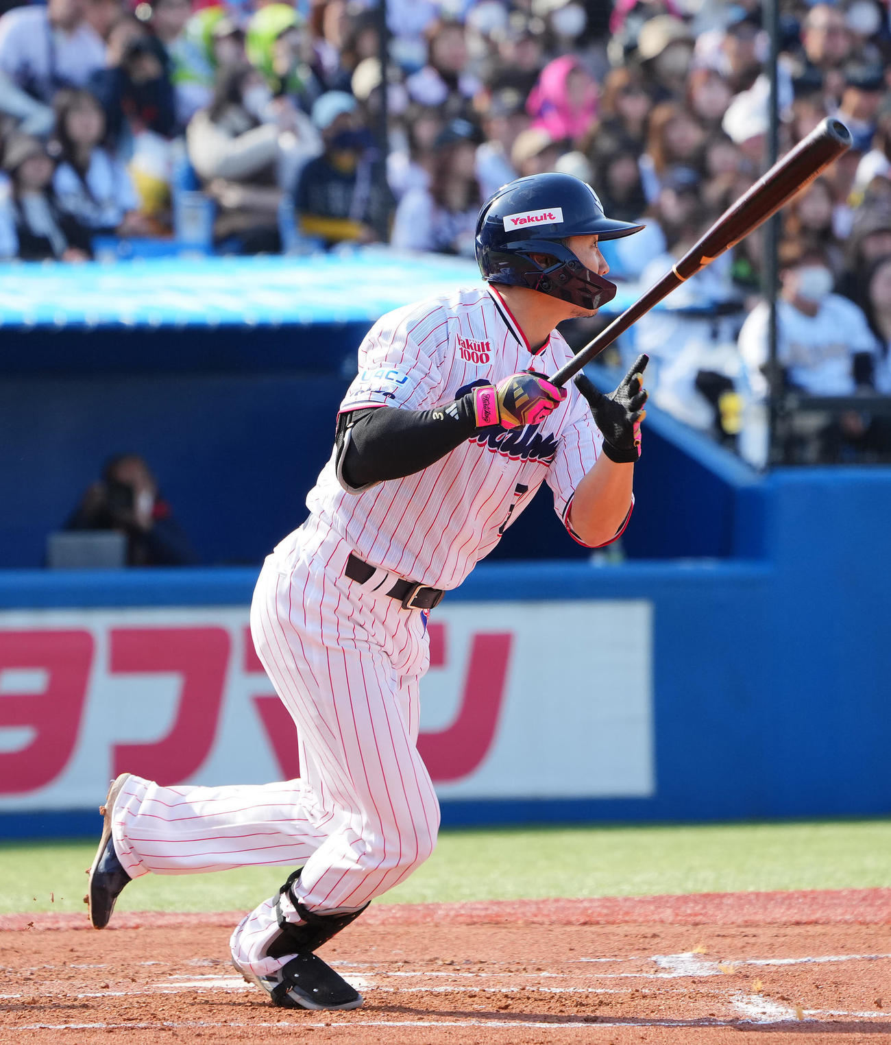 ヤクルト対オリックス　6回裏ヤクルト無死、中前打を放つ西川（撮影・垰建太）