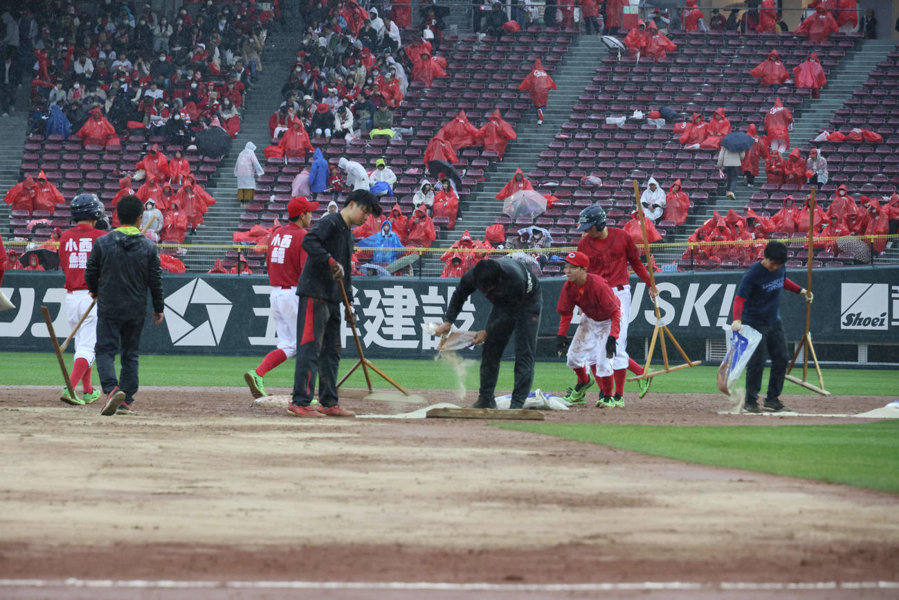広島対DeNA　雨のため、グラウンド整備が行われた（撮影・加藤孝規）