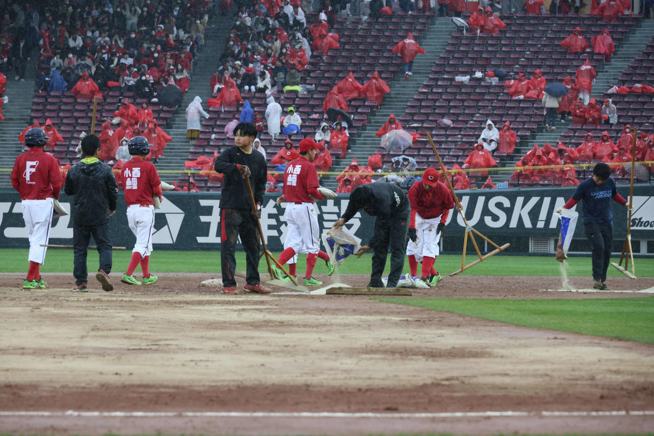 広島対DeNA　雨のため、グラウンド整備が行われた（撮影・加藤孝規）