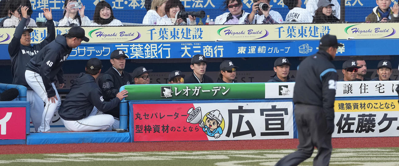 ロッテ対楽天　楽天に敗れ、ベンチで浮かない表情のロッテ佐々木（中央）（撮影・鈴木みどり）