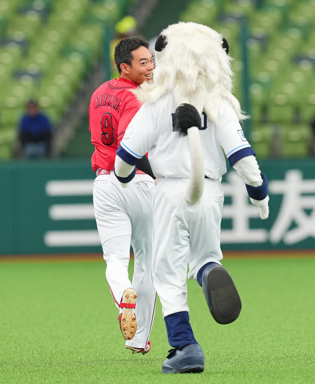 西武対広島　試合前、レオと追いかけっこする広島秋山（撮影・垰建太）