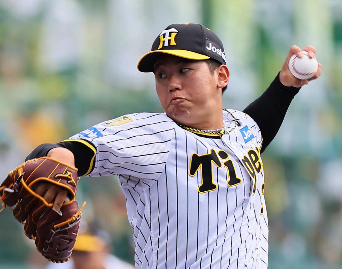 阪神門別啓人（2024年2月撮影）