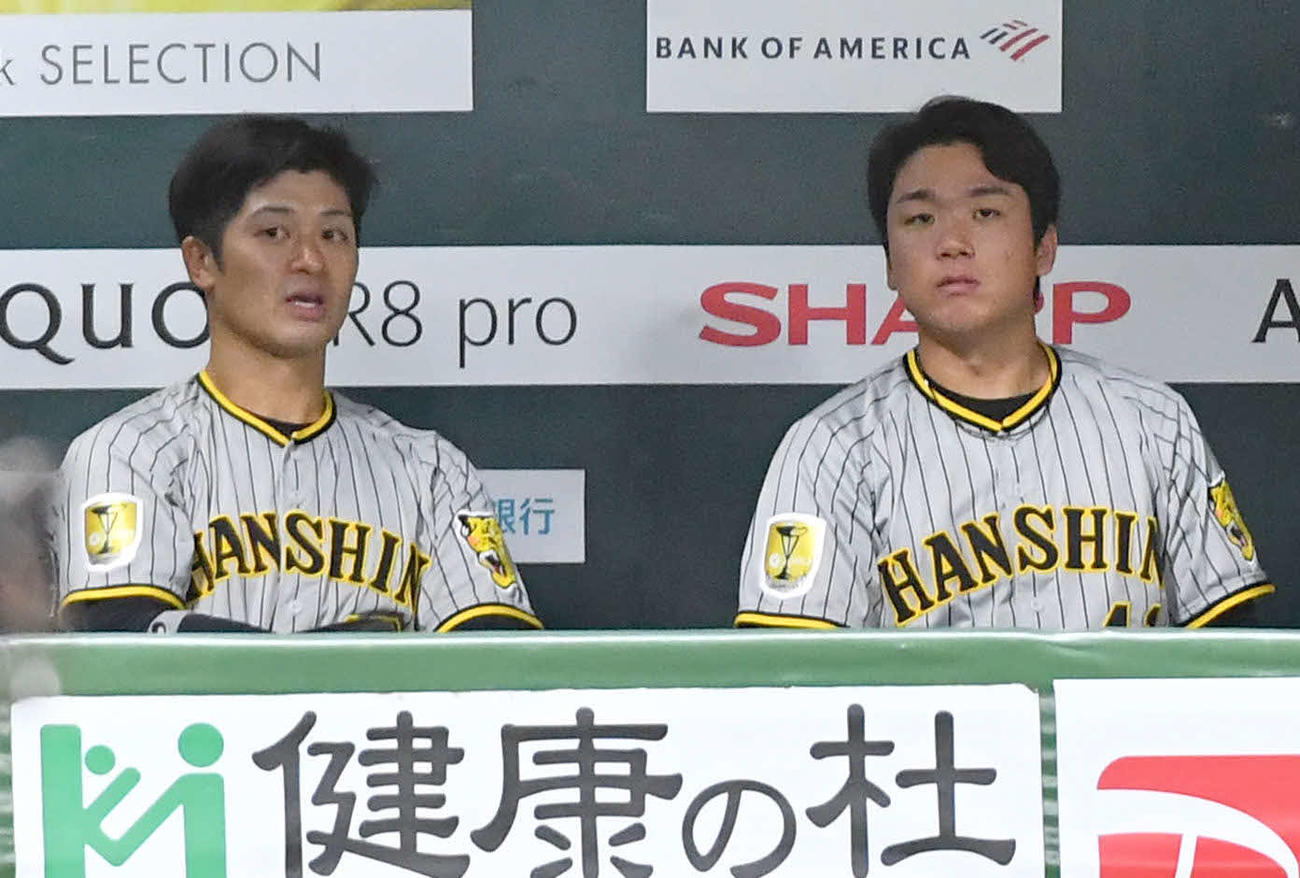 ソフトバンク対阪神　2回裏を終え、ベンチで阪神坂本（左）と話す村上（撮影・岩下翔太）