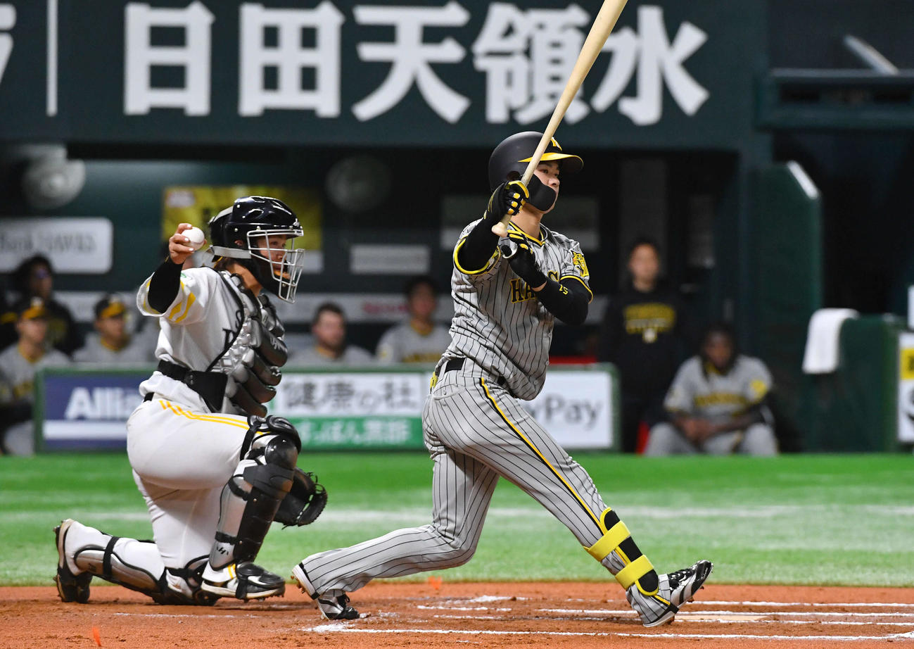 ソフトバンク対阪神　6回表阪神1死一、三塁、空振り三振に倒れる中野（撮影・岩下翔太）