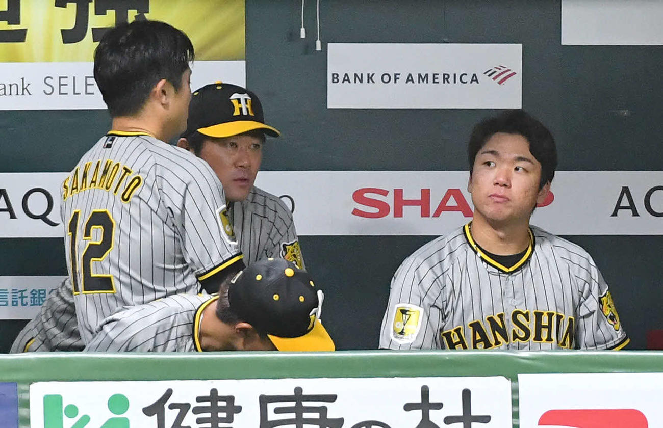 ソフトバンク対阪神　3回裏を終え、ベンチで坂本（左端）、安藤コーチ（左から2人目）と話す村上（撮影・岩下翔太）