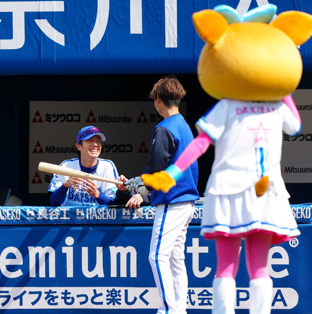 DeNA対オリックス　ベンチスタートとなったDeNA度会（撮影・たえ見朱実）