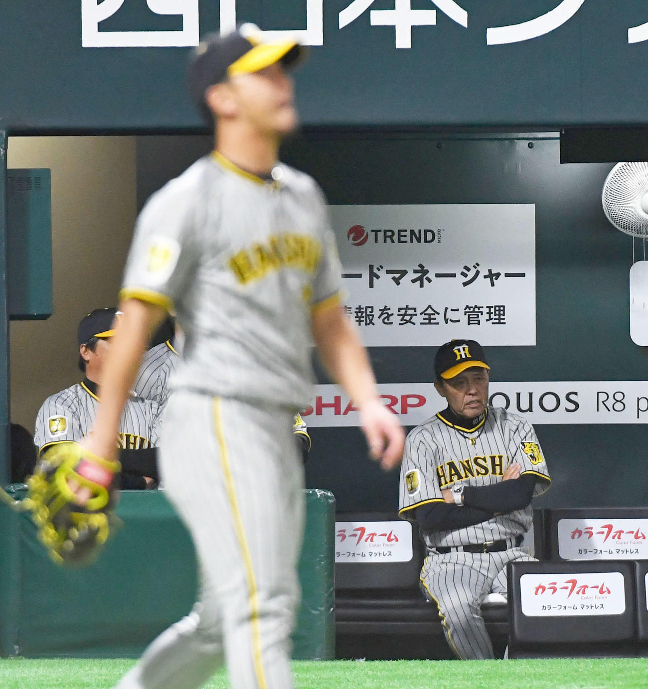 ソフトバンク対阪神　6回裏ソフトバンク1死二塁、中村晃の右前適時打で伊藤将（手前左）が3点目を失い、ベンチで厳しい表情を見せる岡田監督（撮影・岩下翔太）