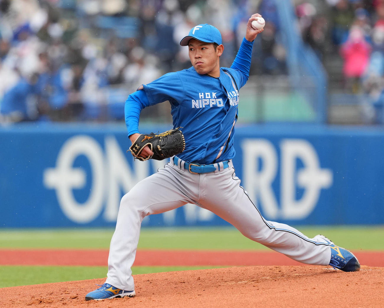 ヤクルト対日本ハム　力投する日本ハム先発の根本（撮影・横山健太）