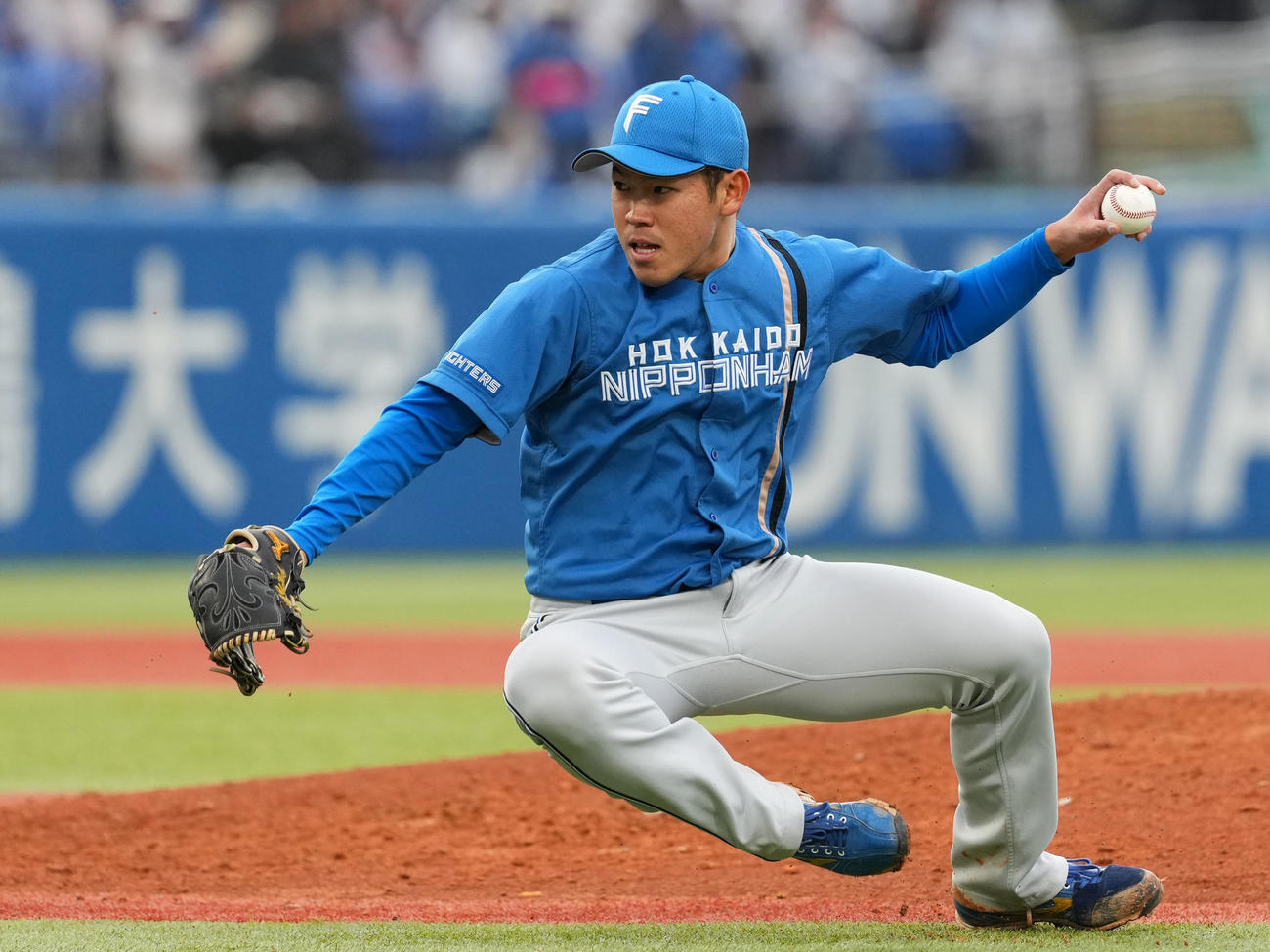 ヤクルト対日本ハム　3回裏ヤクルト無死満塁、根本はサンタナの投ゴロを捕球し、倒れ込みながら本塁へ送球（撮影・横山健太）