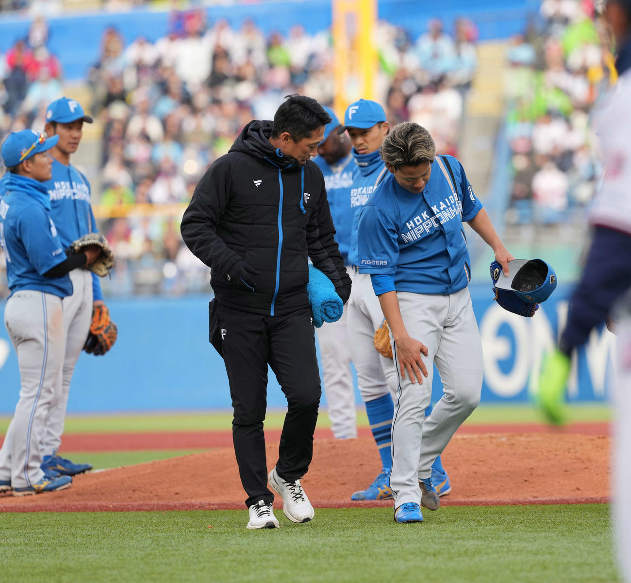 ヤクルト対日本ハム　治療のためベンチに引き揚げる日本ハム福田俊（右）（撮影・井上学）