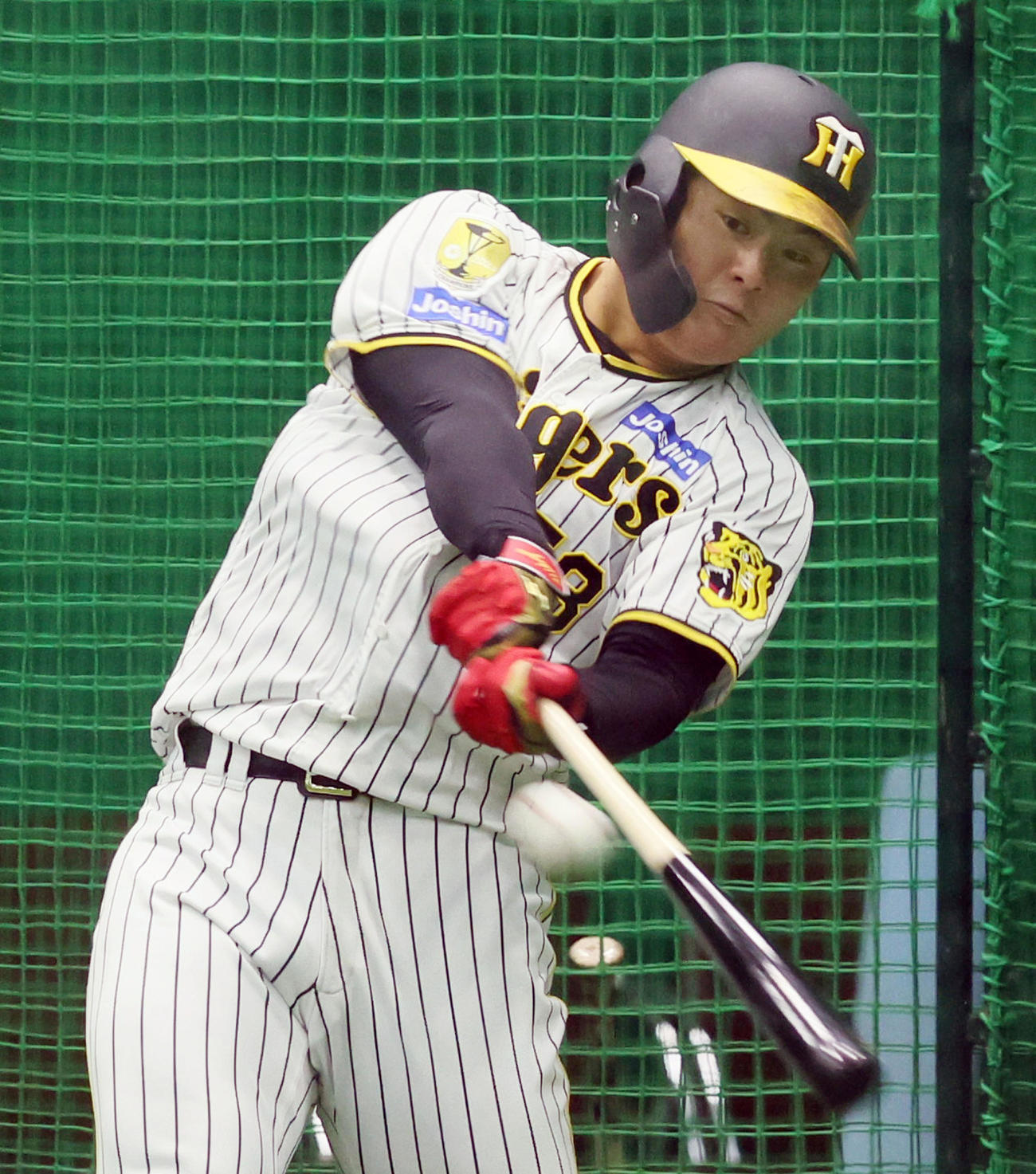 打撃練習する前川（撮影・加藤哉）