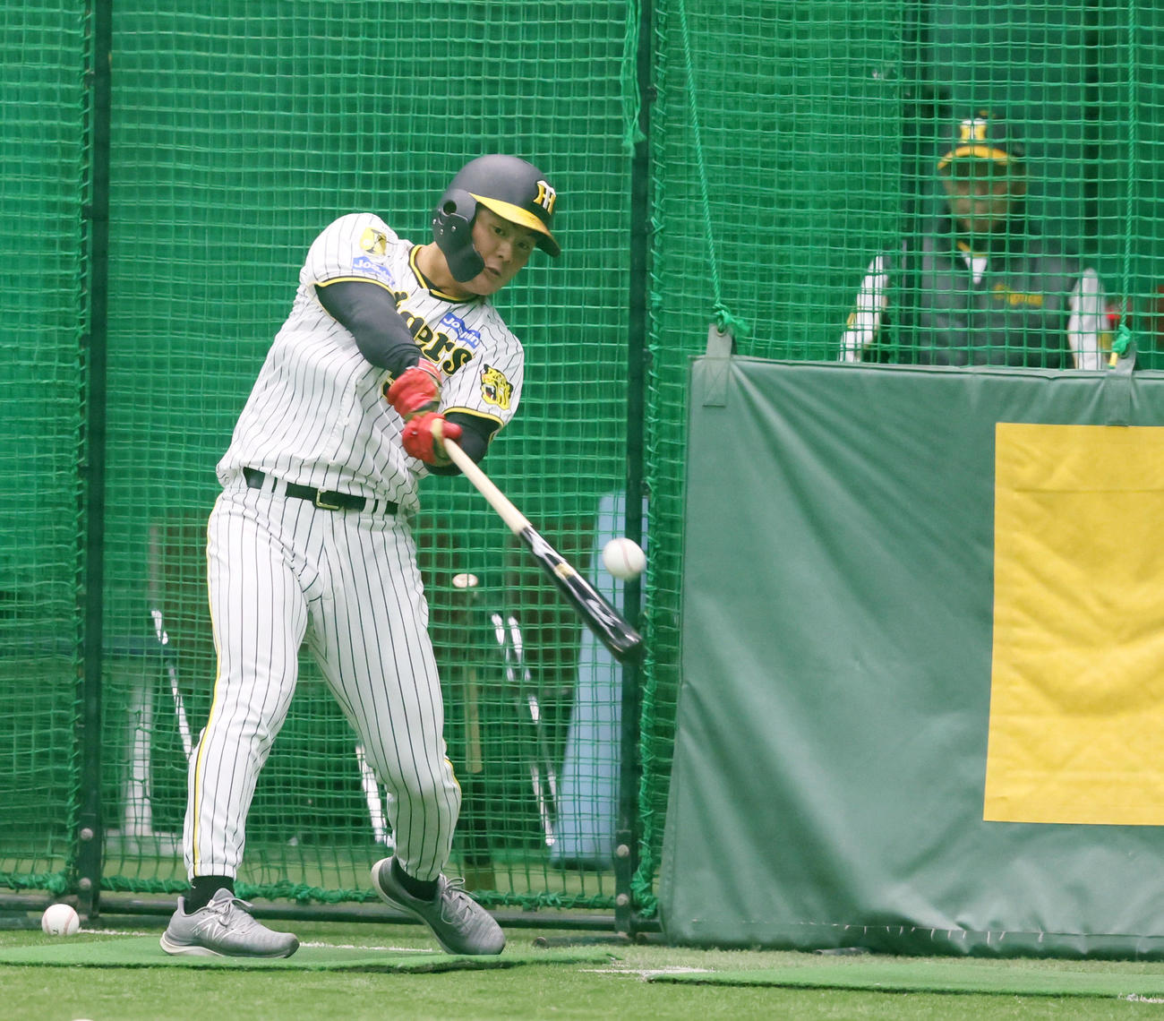 打撃練習する前川。右は岡田監督（撮影・加藤哉）