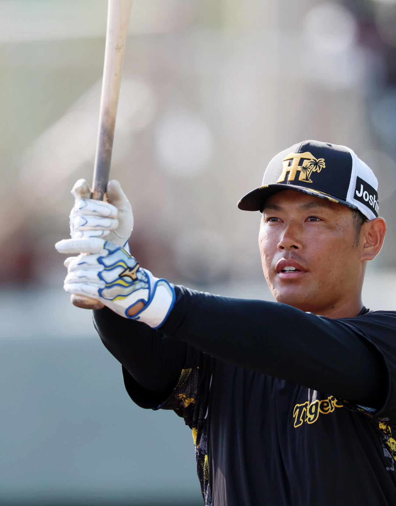 阪神原口文仁（2024年2月14日撮影）