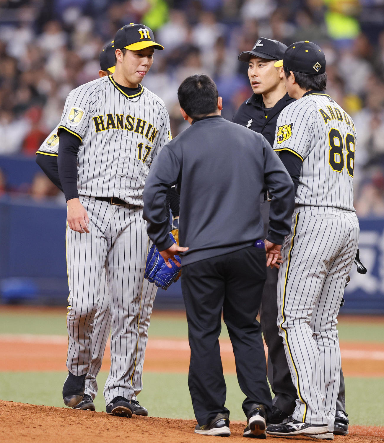 オリックス対阪神　4回裏オリックス無死、打者紅林のとき、マウンドでトレーナーらと話をする青柳（左端）（撮影・藤尾明華）