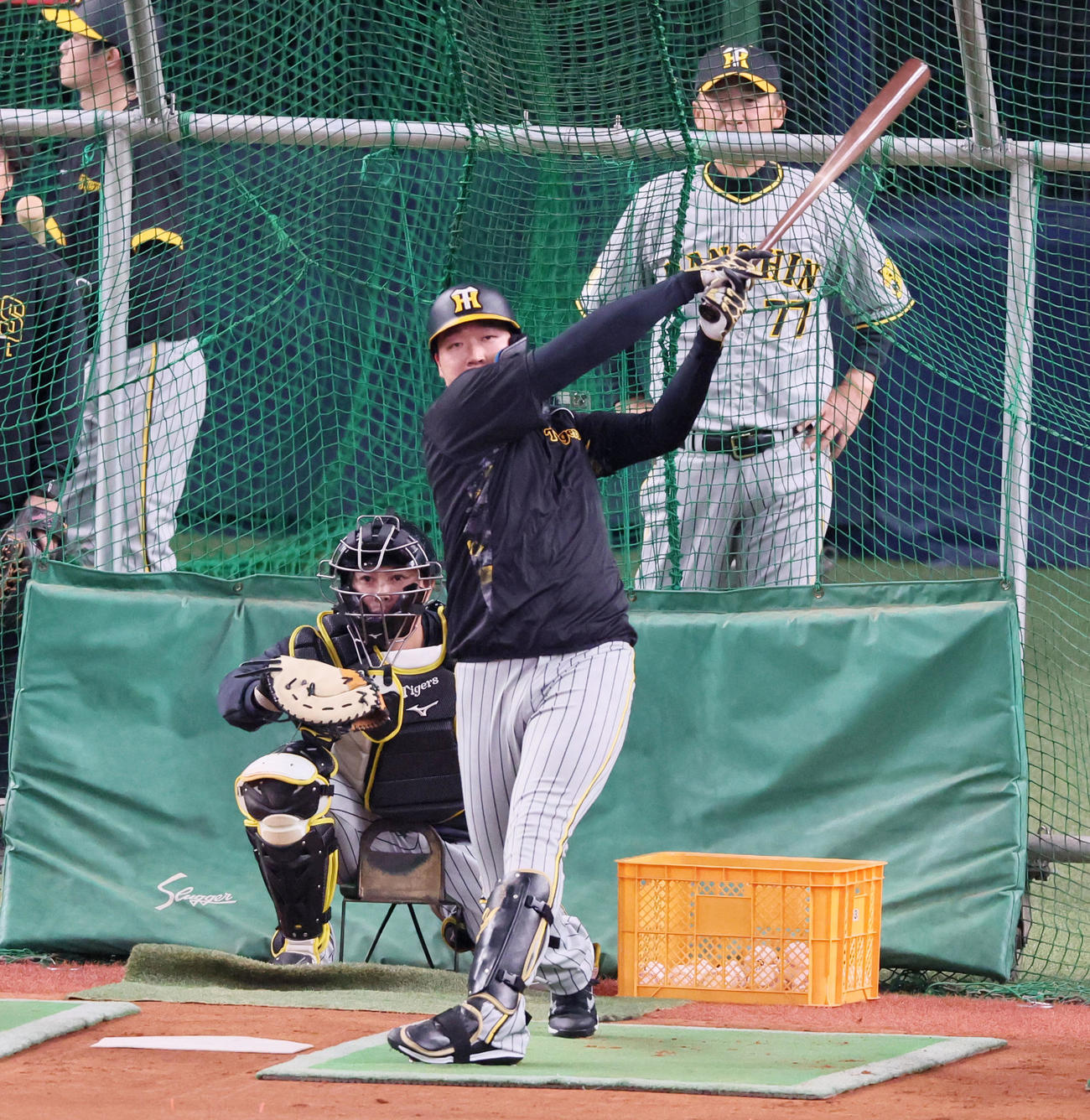 オリックス対阪神　打撃練習する大山（撮影・加藤哉）