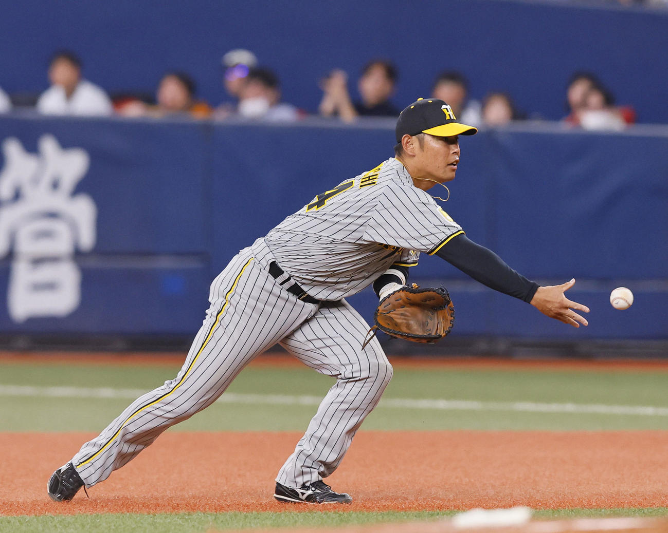 オリックス対阪神　7回裏オリックス1死、福田の一ゴロを好捕し、トスする原口（撮影・藤尾明華）