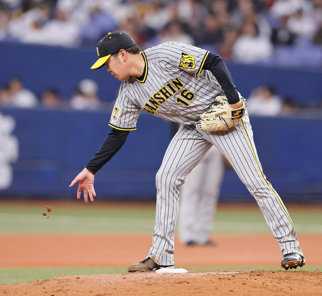 オリックス対阪神　8回、マウンドで土の塊を捨てる阪神西勇（撮影・藤尾明華）
