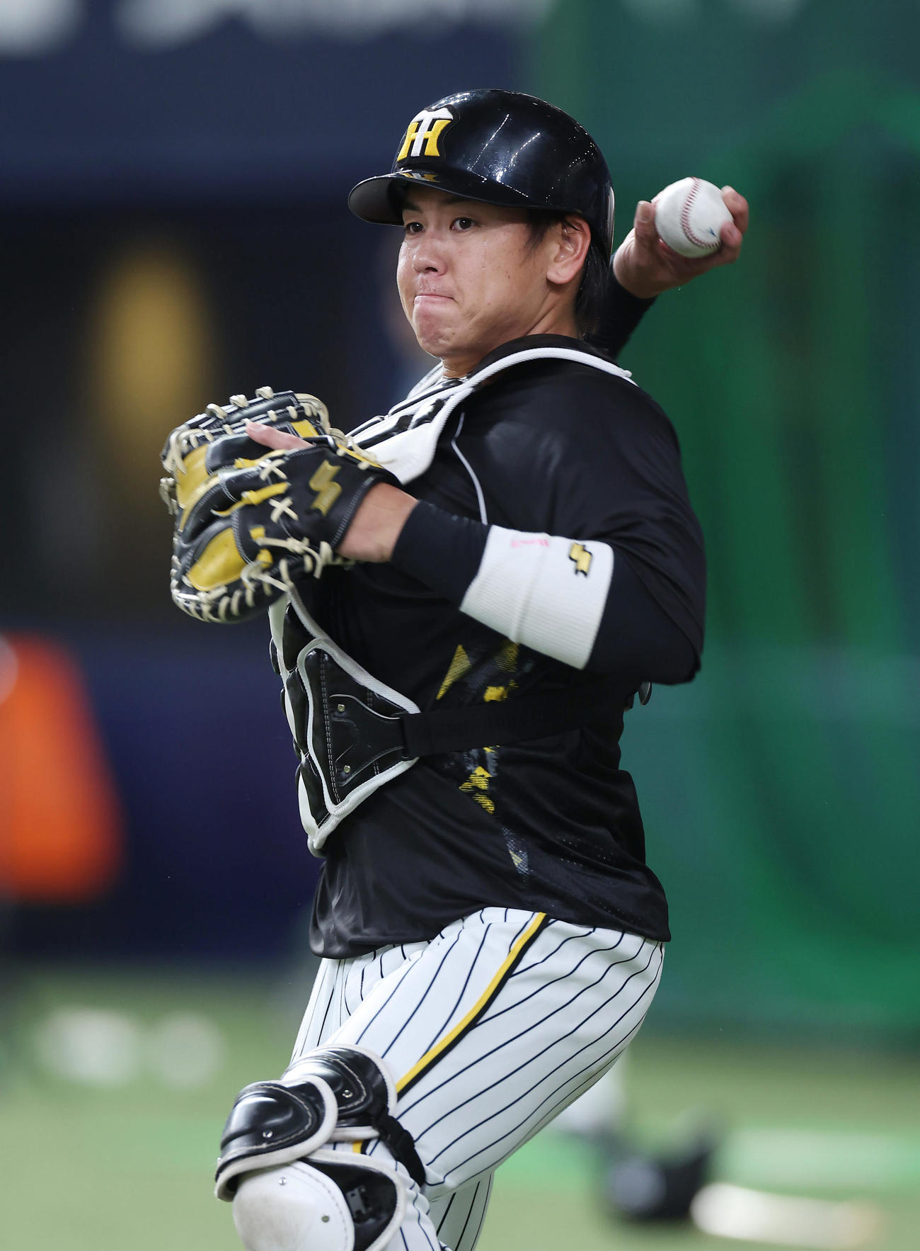 阪神対オリックス　1軍に合流し試合前練習に臨む阪神梅野（撮影・前田充）