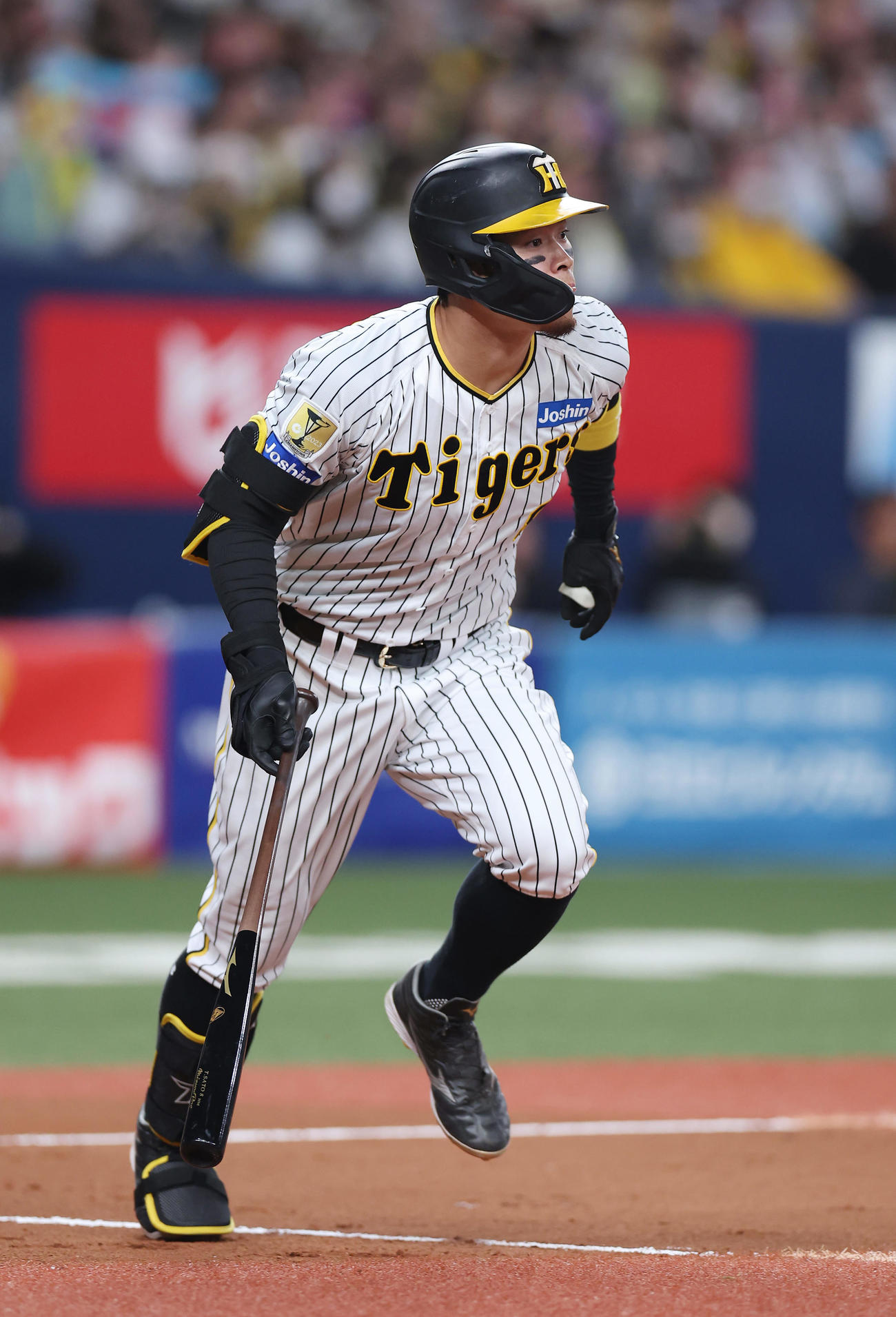阪神対オリックス　6回裏阪神無死、右越え本塁打を放つ佐藤輝（撮影・前田充）