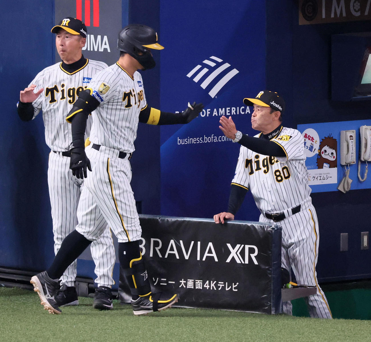 阪神対オリックス　6回裏阪神無死、佐藤輝（左）は右越えソロ本塁打を放ちベンチの岡田監督とタッチ（撮影・加藤哉）