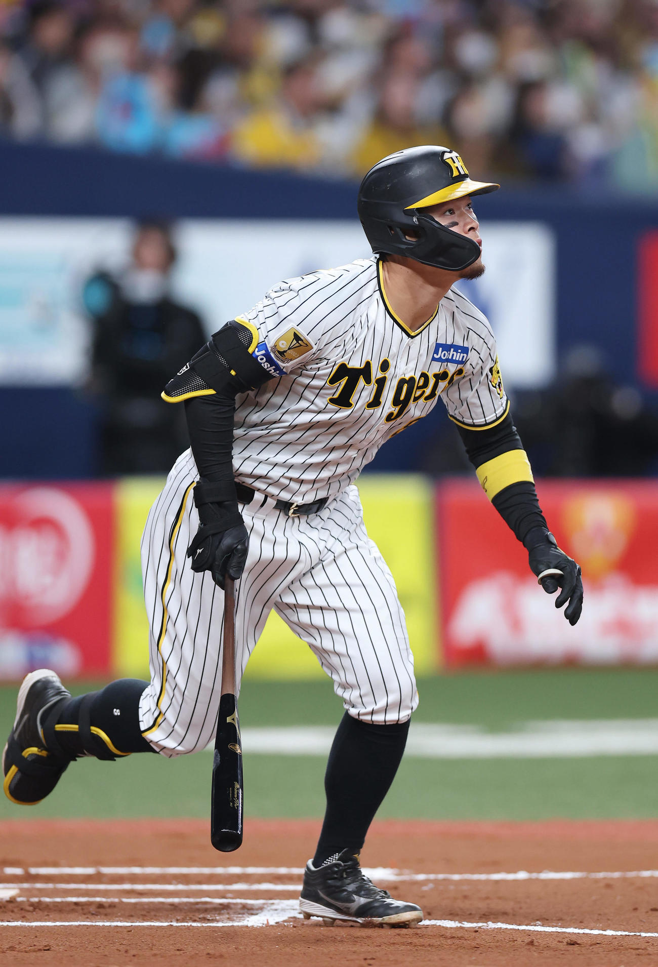 阪神対オリックス　6回裏阪神無死、右越え本塁打を放つ佐藤輝（撮影・前田充）