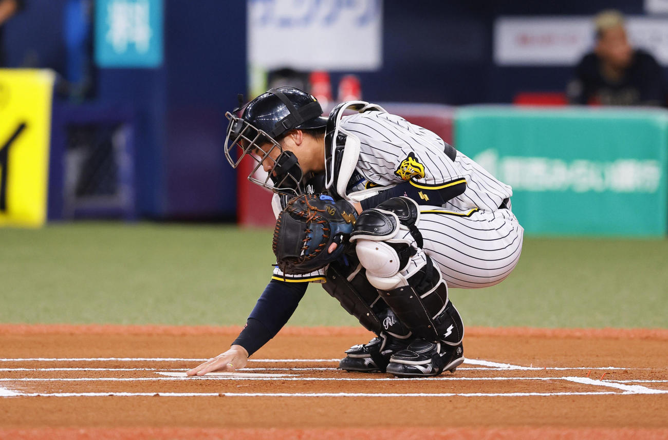 6回、守備についた阪神梅野（撮影・藤尾明華）