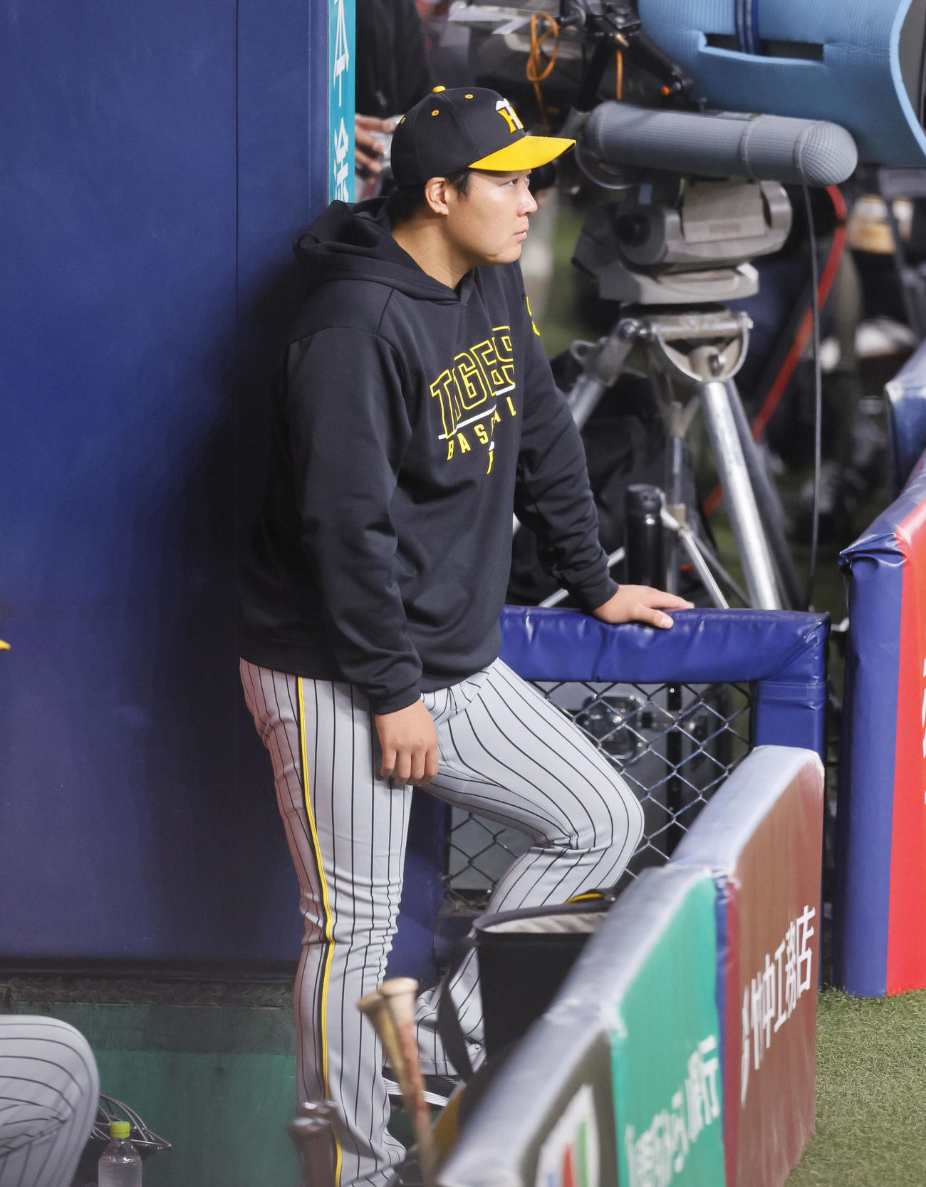 オリックス対阪神　1回、ベンチから試合を見つめる阪神大山（撮影・藤尾明華）