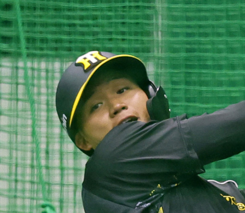 打撃練習する阪神森下（撮影・藤尾明華）