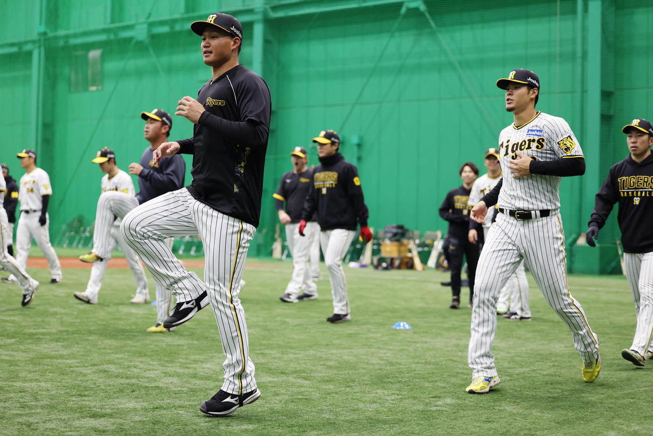ウオーミングアップを行う森下（手前左）、佐藤輝（同右）ら阪神ナイン（撮影・前田充）