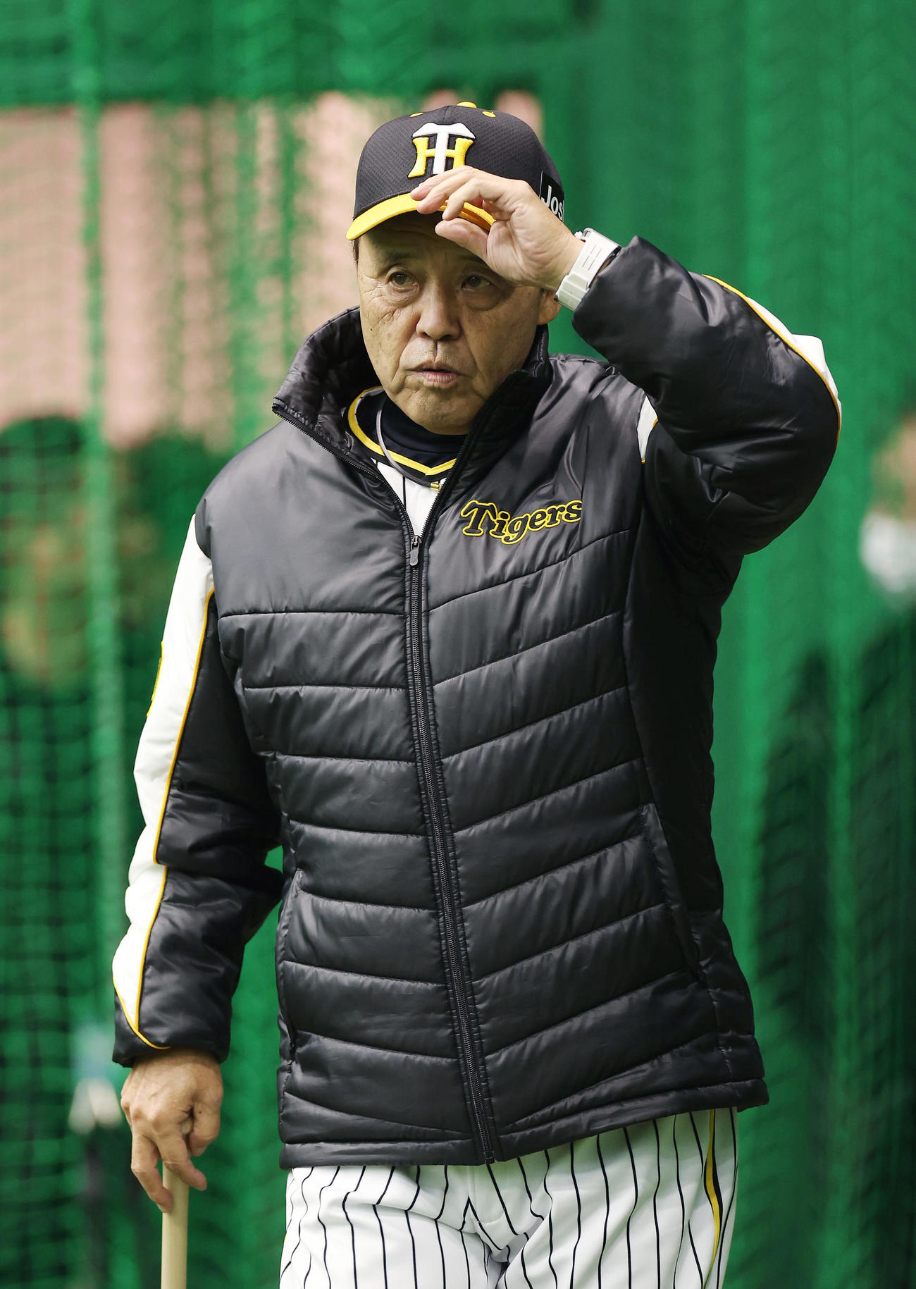 練習を見守る阪神岡田監督（撮影・前田充）