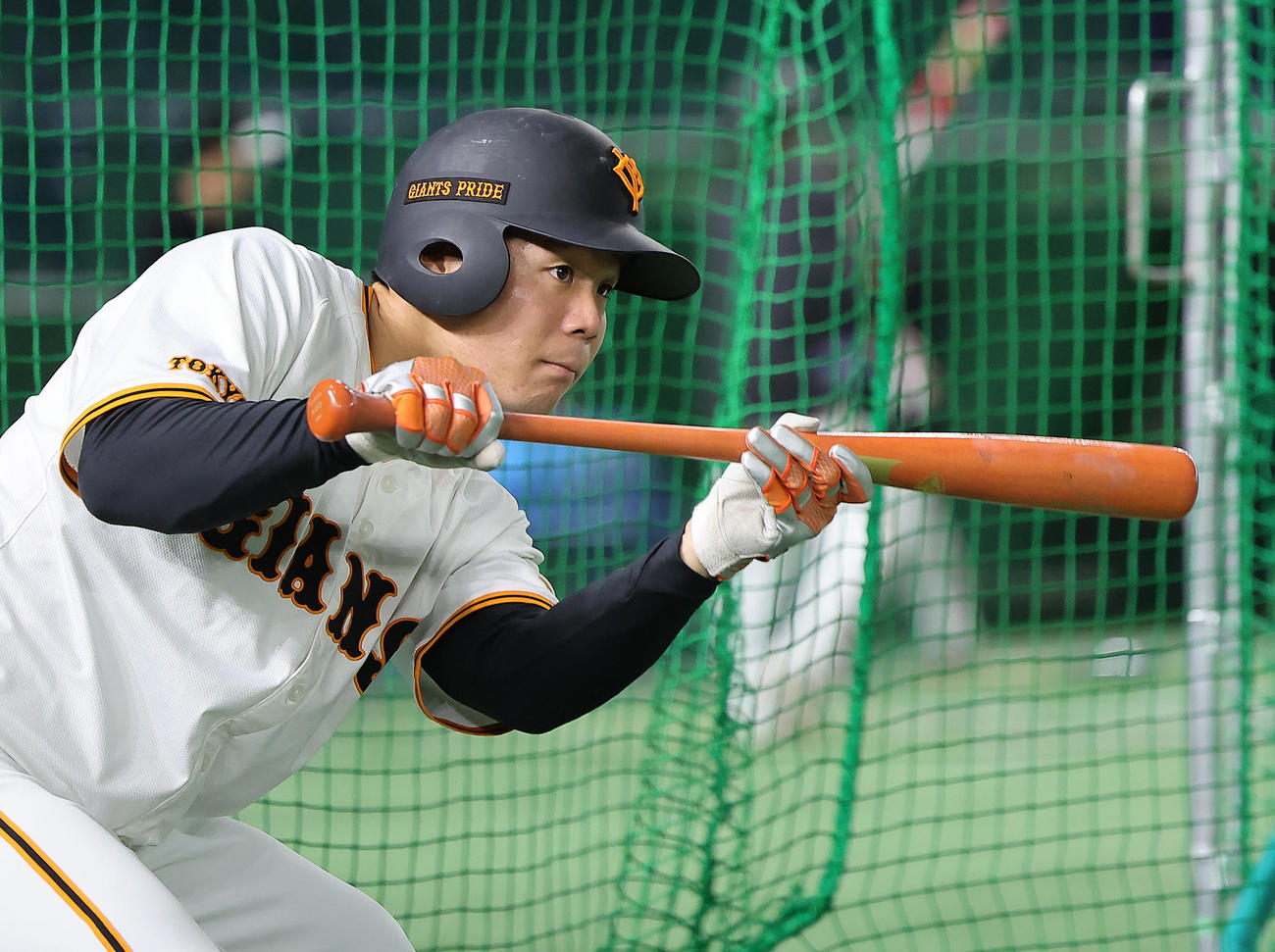 バント練習する巨人佐々木（撮影・足立雅史）
