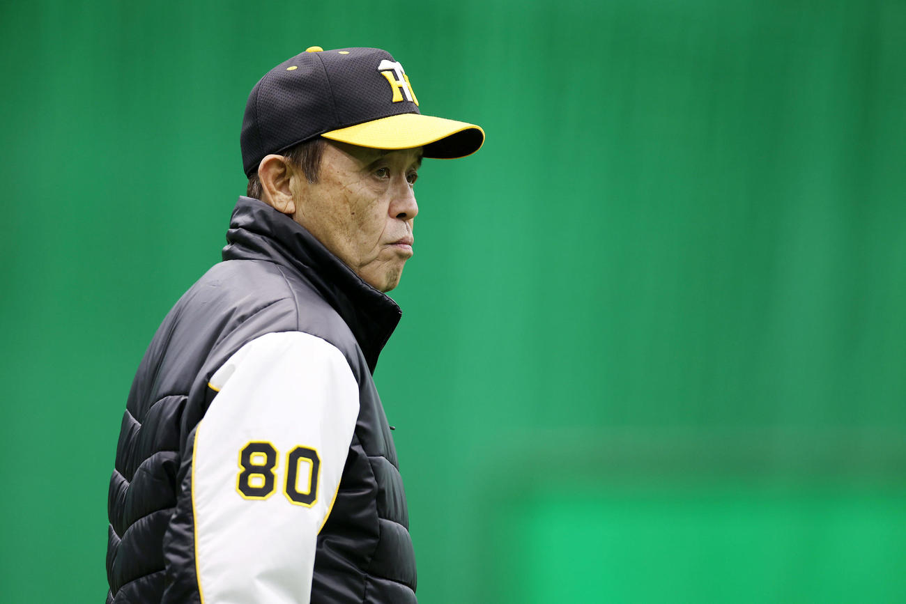 練習を見守る阪神岡田監督（撮影・前田充）