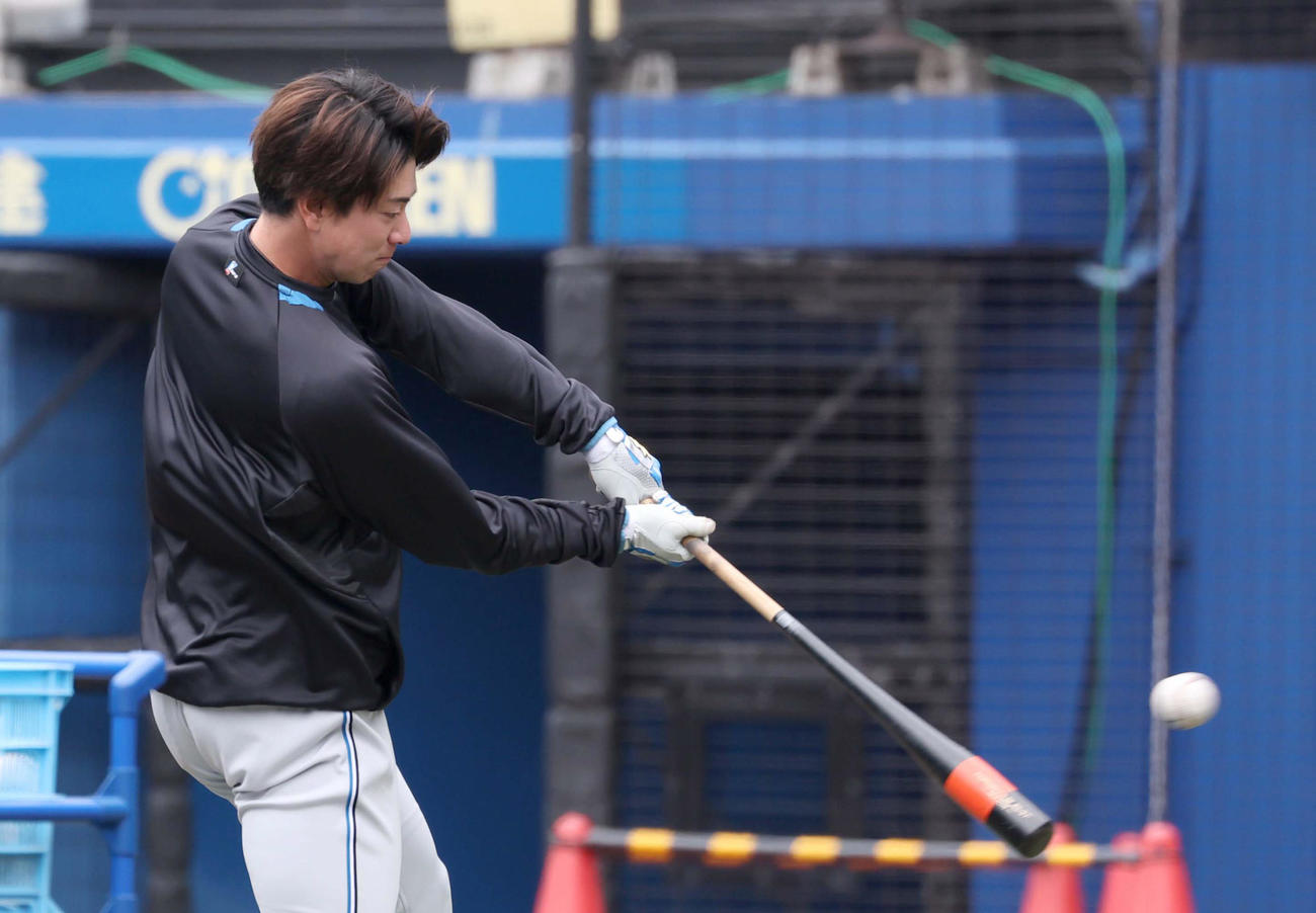 球場に早く入りティー打撃する日本ハム松本剛（撮影・黒川智章）