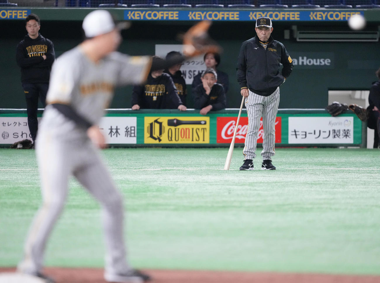 ノックを見守る阪神岡田監督（撮影・鈴木みどり）