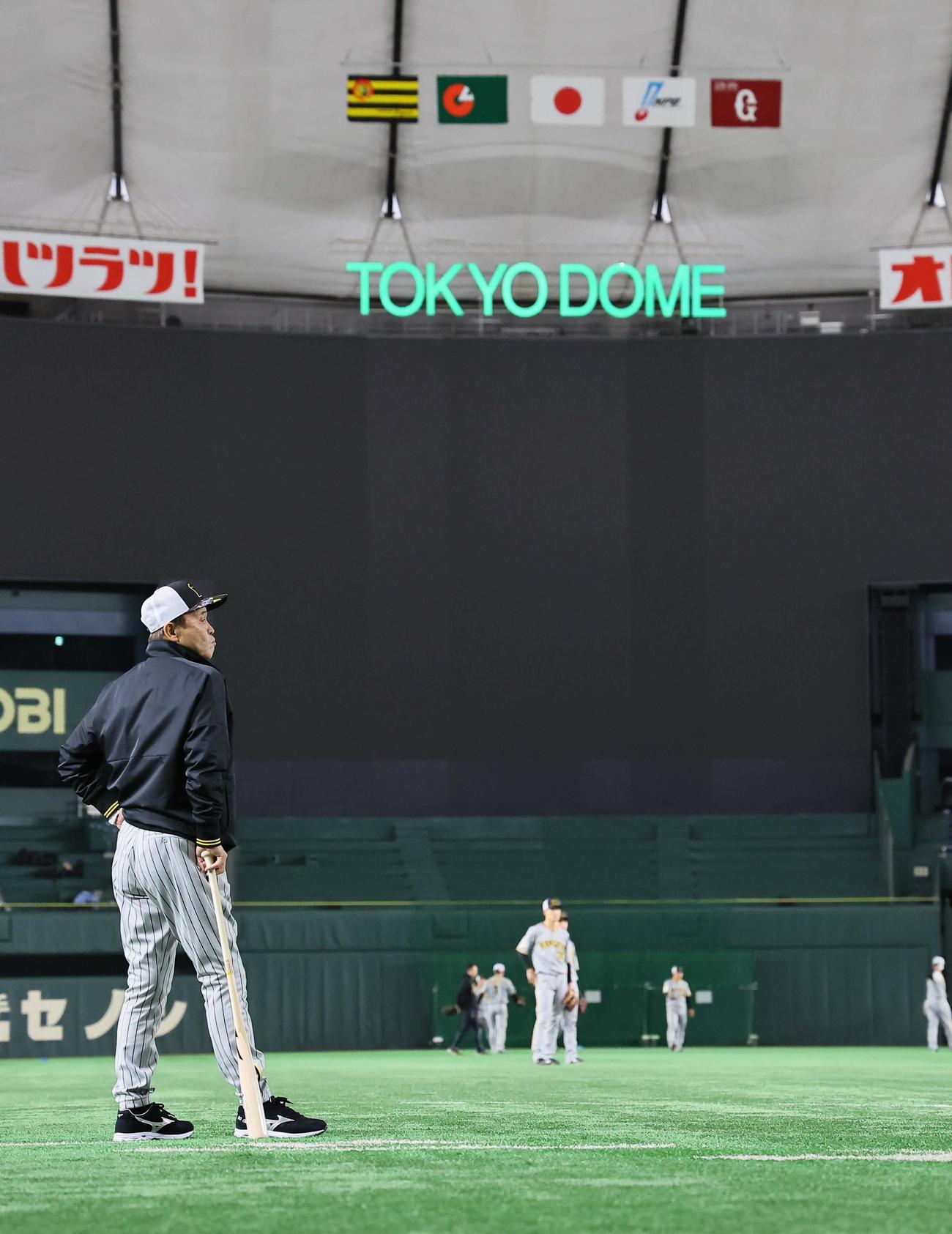 選手の動きをチェックする岡田監督（撮影・上田博志）