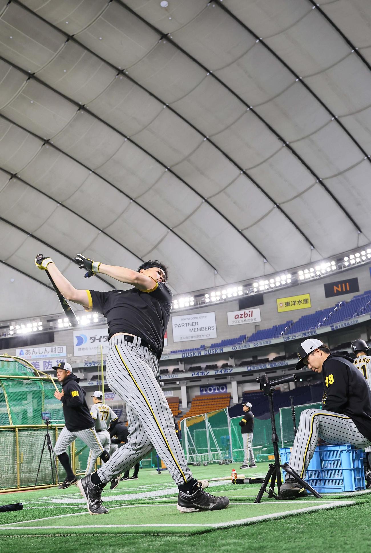 東京ドームで打撃練習をする佐藤輝（撮影・上田博志）