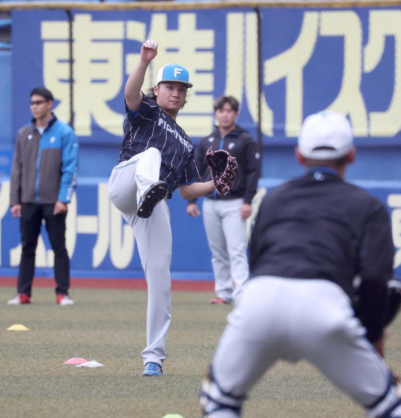 キャッチボールする日本ハム伊藤（撮影・黒川智章）