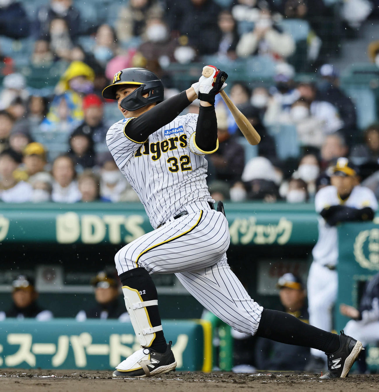 阪神井上広大（2024年3月8日撮影）