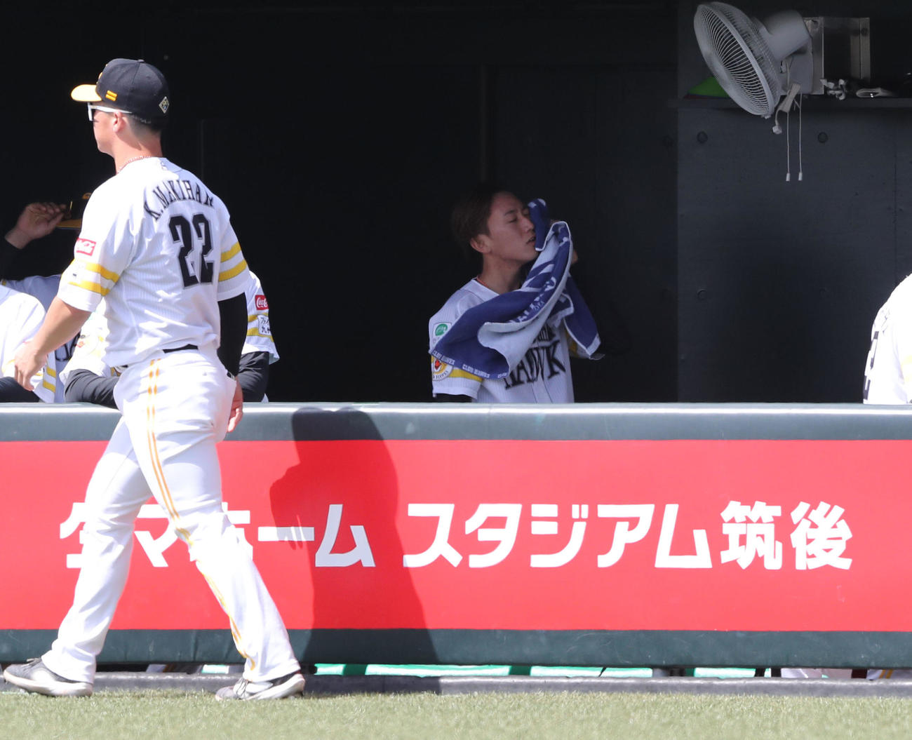 ソフトバンク対阪神　先発・大津は汗をぬぐう（撮影・梅根麻紀）